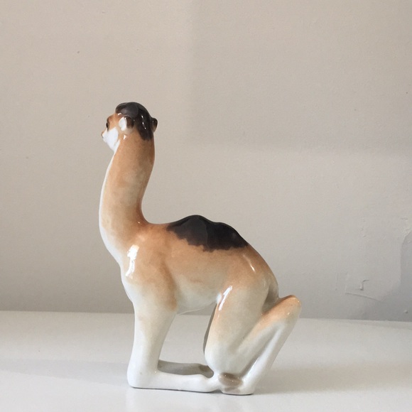 Lomonosov Camel 🐪 - Picture 3 of 6